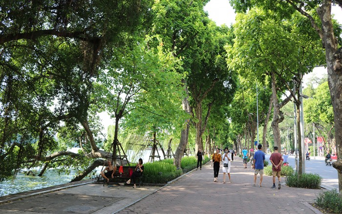 Giải pháp tăng độ che phủ của cây xanh nâng cao chất lượng sống đô thị
